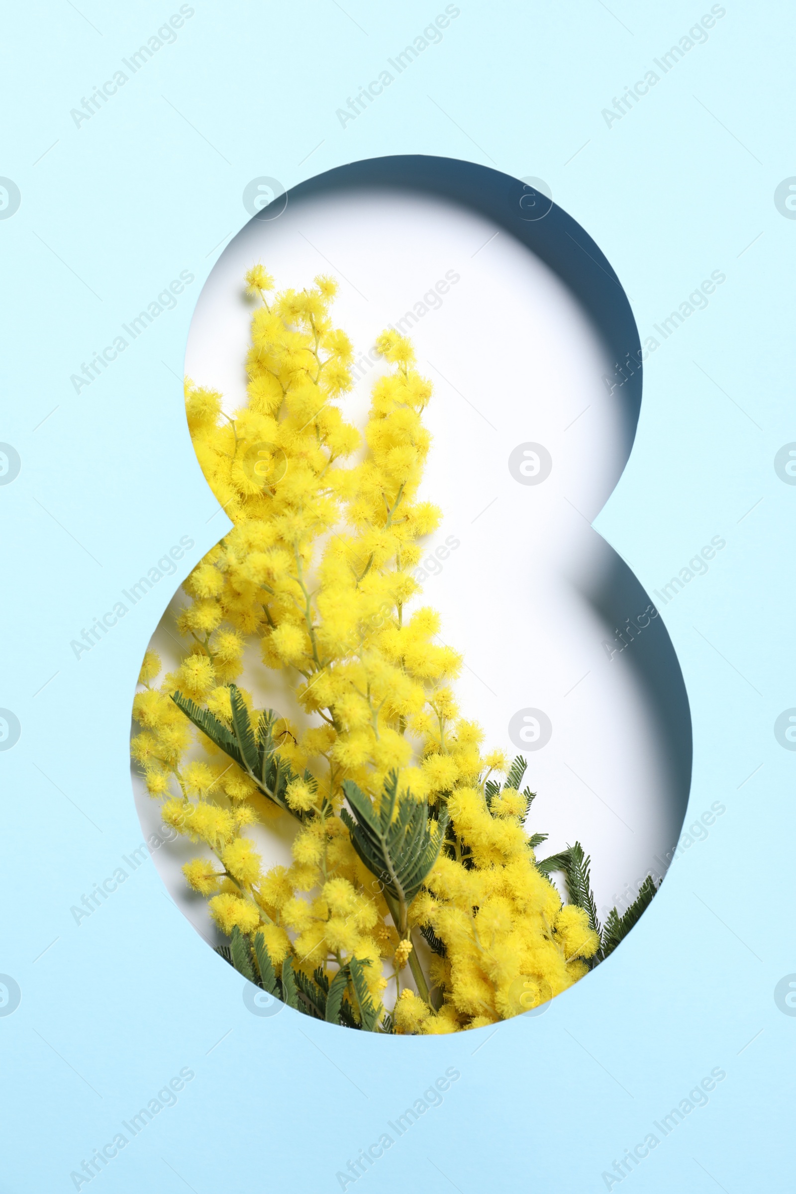 Photo of 8 March greeting card design with mimosa flowers, top view. Happy International Women's Day