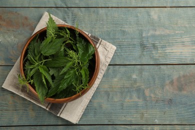 Fresh stinging nettle leaves in bowl on blue wooden table, top view. Space for text