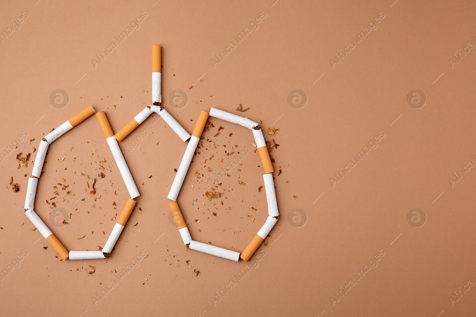 Photo of No smoking concept. Lungs made of cigarettes and dry tobacco on brown background, flat lay with space for text