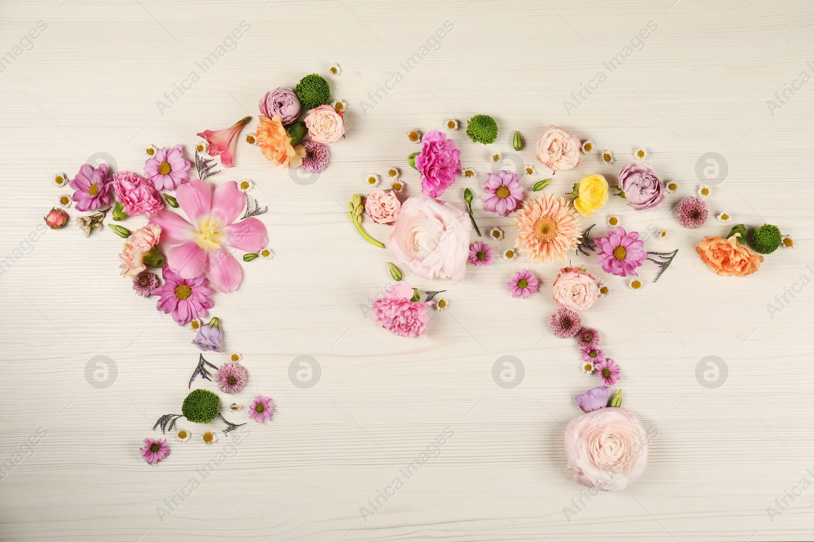 Photo of World map made of different beautiful flowers on light wooden table, flat lay