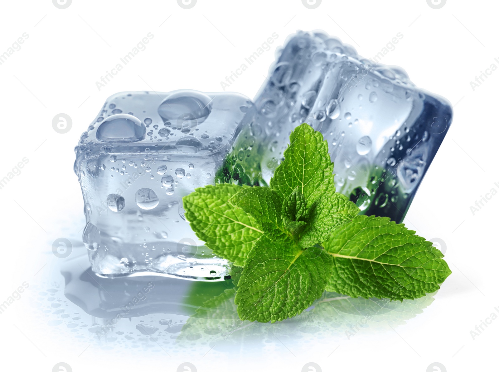 Image of Green mint and ice cubes isolated on white