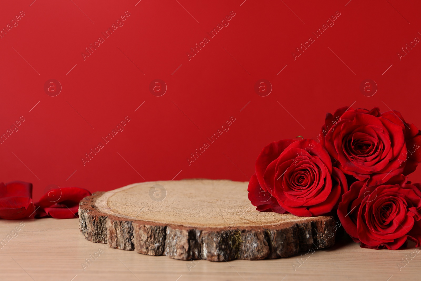 Photo of Presentation for product. Wooden podium and beautiful roses on table against red background, space for text