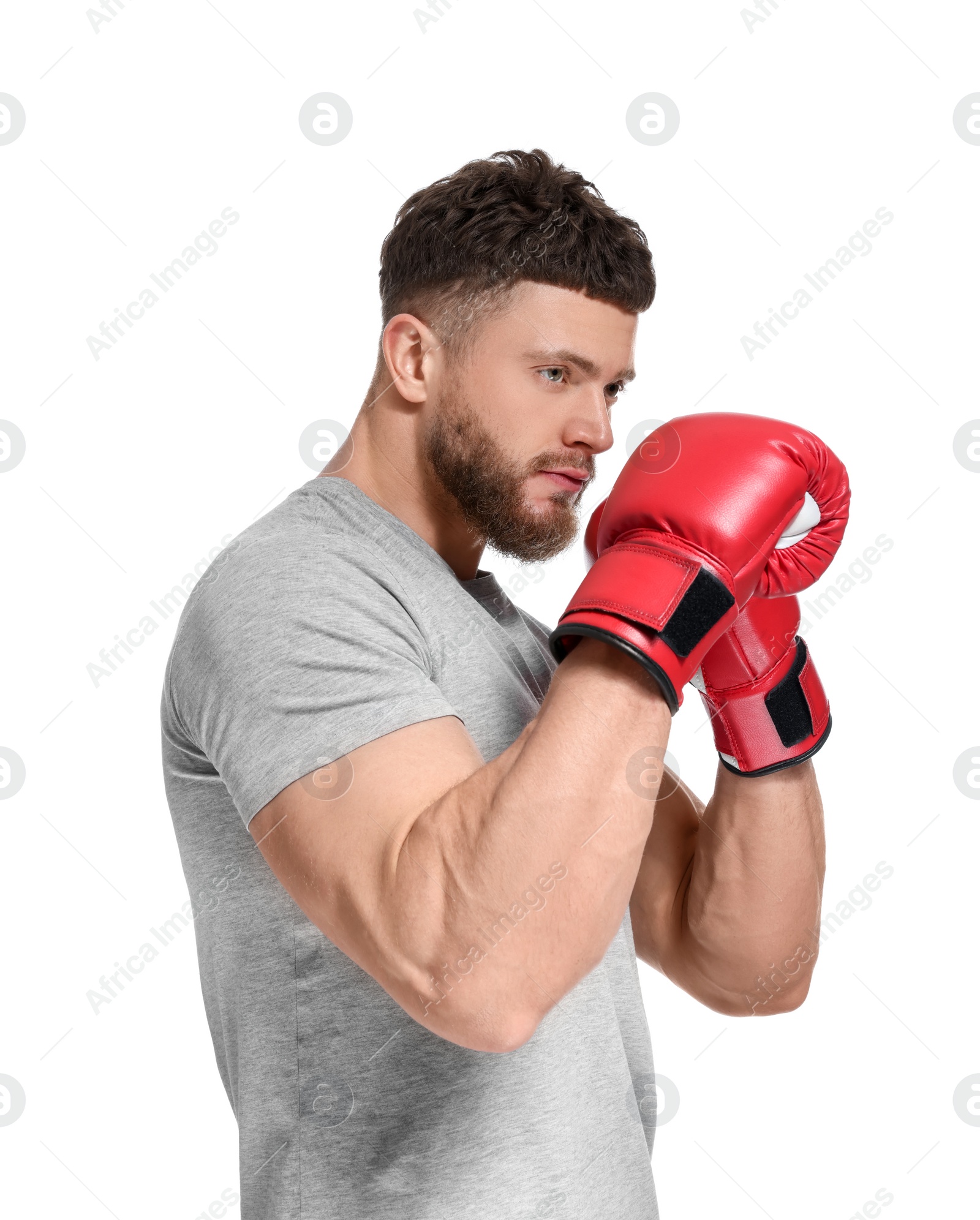 Photo of Man in boxing gloves on white background