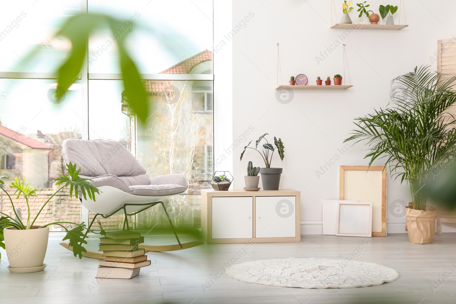 Photo of Trendy room interior with different home plants