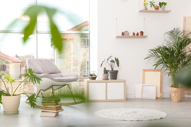 Photo of Trendy room interior with different home plants