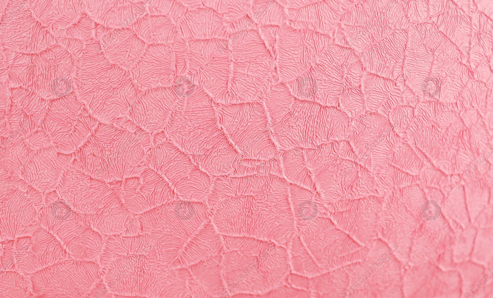 Photo of Texture of beautiful rose surface as background