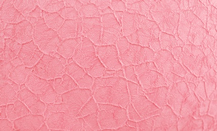 Texture of beautiful rose surface as background