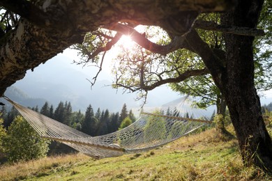 Comfortable net hammock outdoors on sunny day