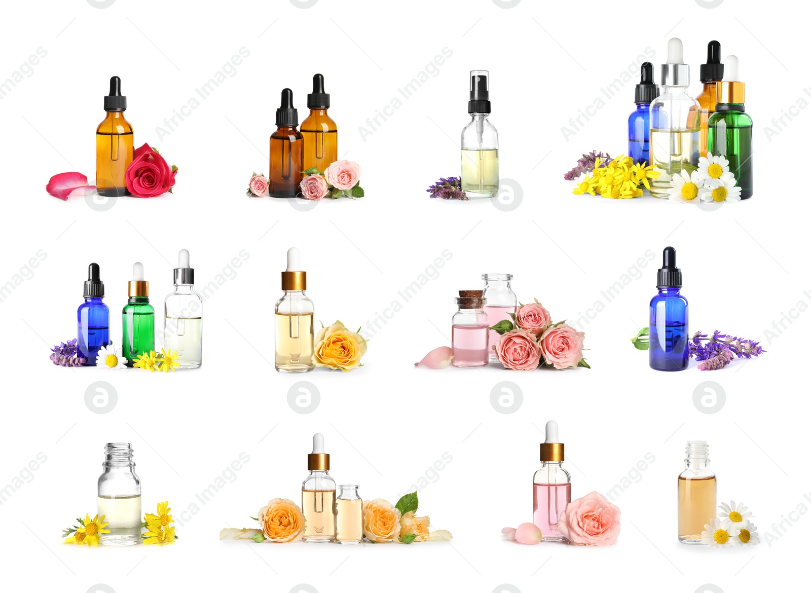 Image of Set with bottles of essential oils and fresh flowers on white background