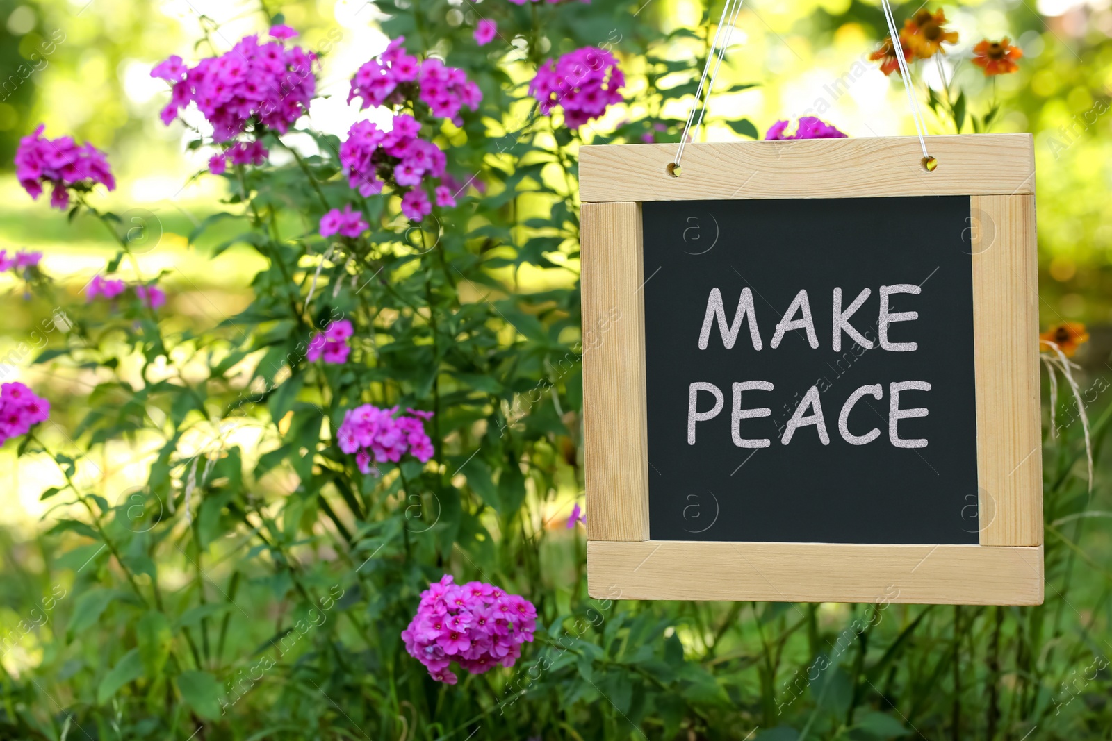 Photo of Chalkboard with phrase Make Peace near phlox flowers outdoors