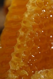 Photo of Closeup view of natural honeycomb with sweet honey as background