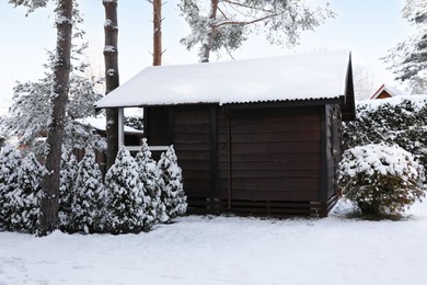 Photo of Winter landscape with wooden house, trees and bushes in morning