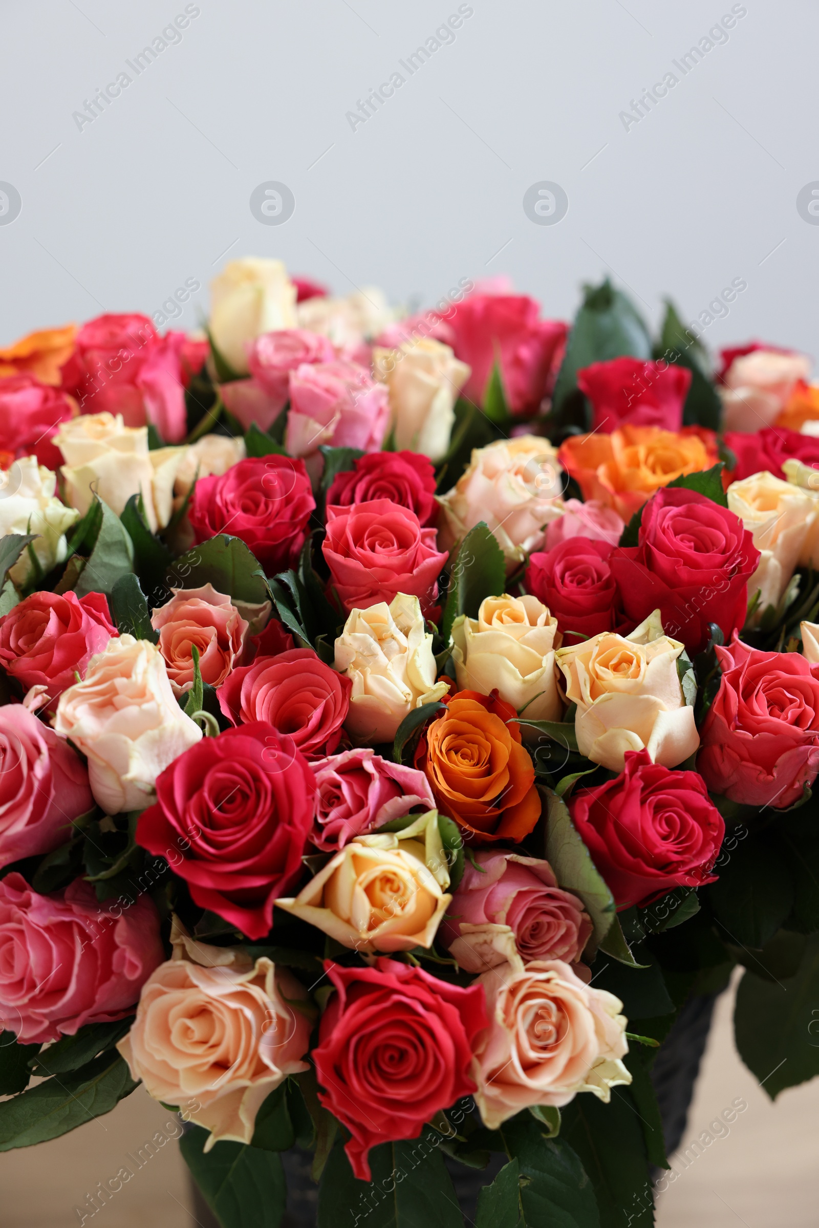 Photo of Bouquet of beautiful roses on light background