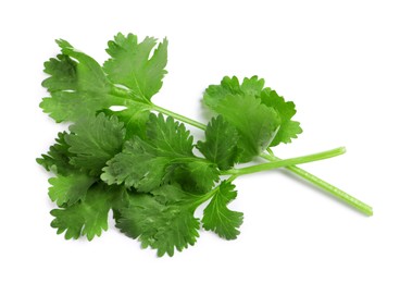 Photo of Fresh green coriander leaves on white background, top view