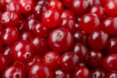 Fresh ripe cranberries as background, closeup view