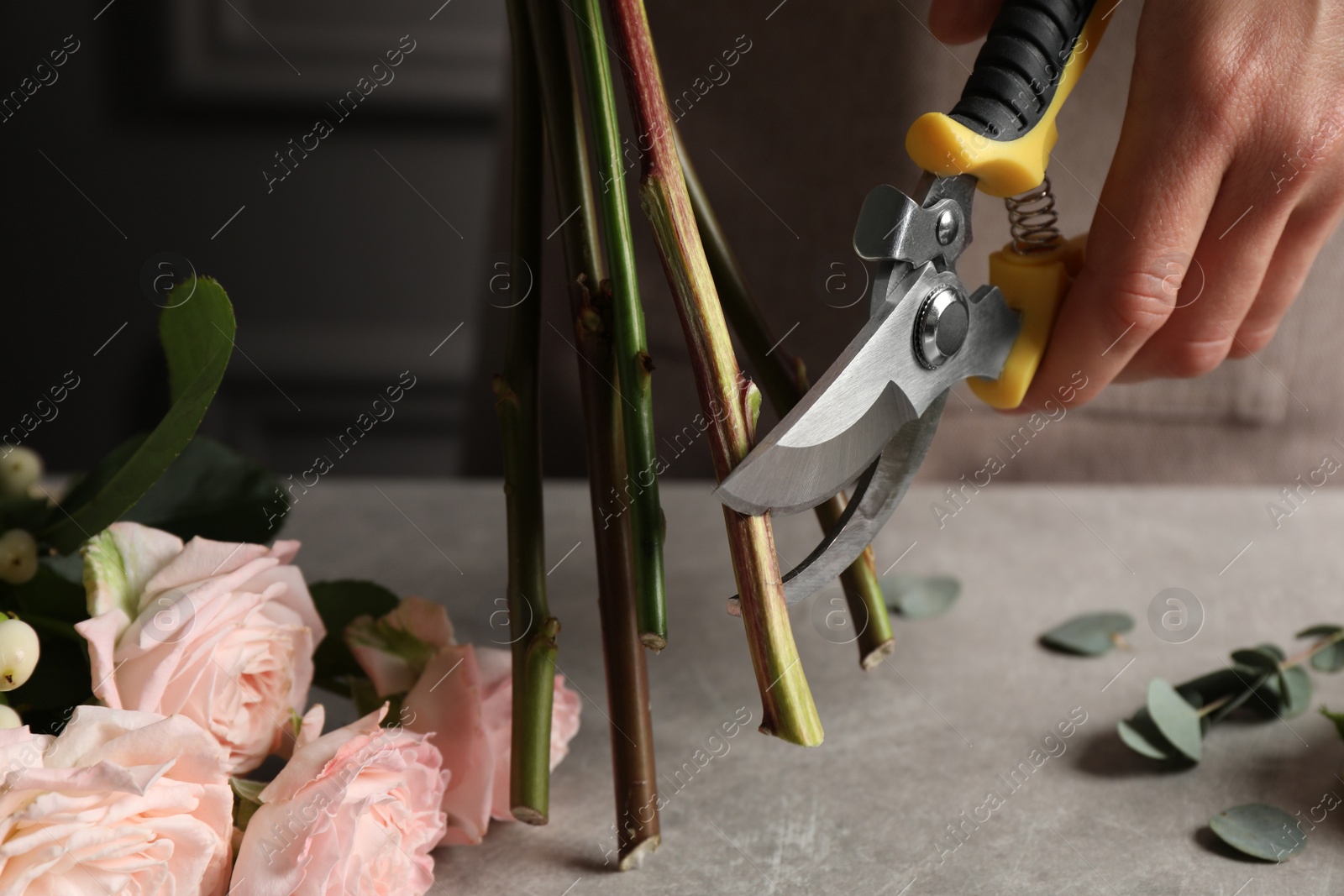 Photo of Florist cutting flower stems with pruner at workplace, closeup