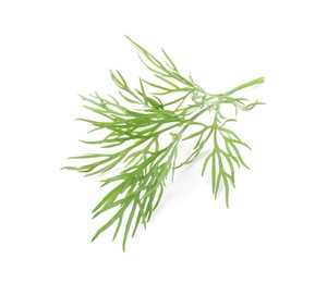 Photo of One sprig of fresh dill isolated on white