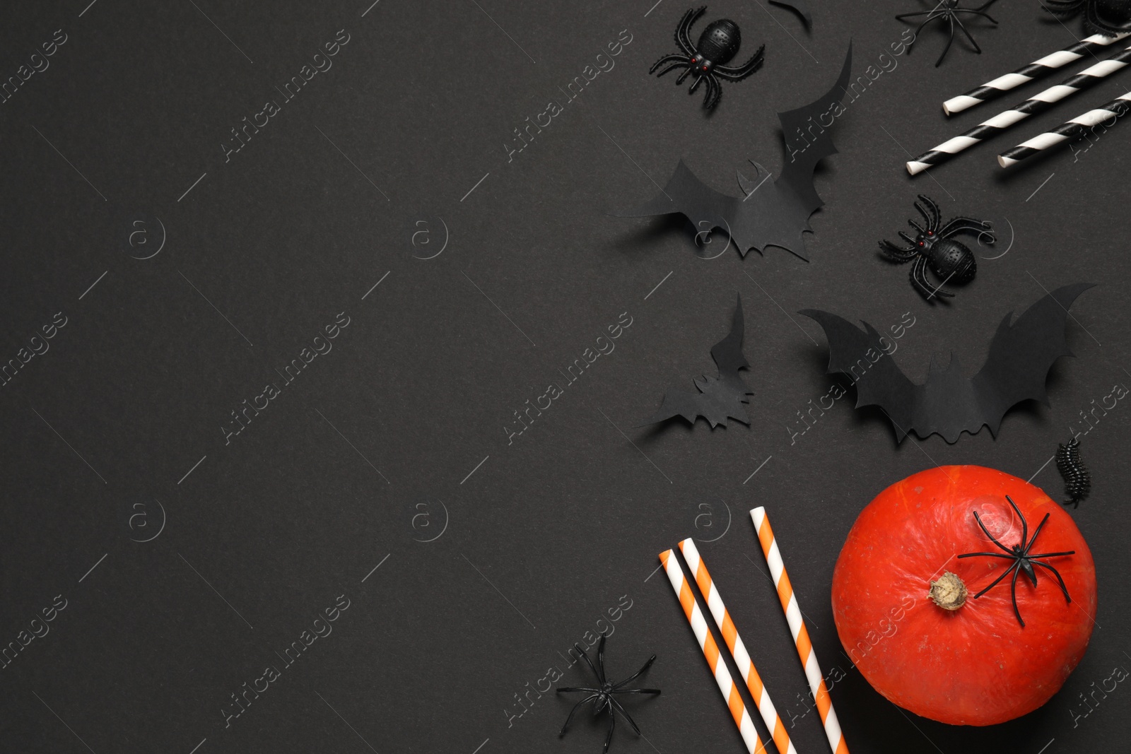Photo of Flat lay composition with pumpkin, paper bats, spiders and cocktail straws on black background, space for text. Halloween decor