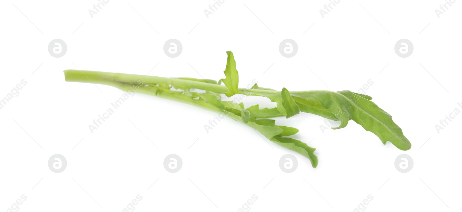 Photo of Leaves of fresh arugula isolated on white