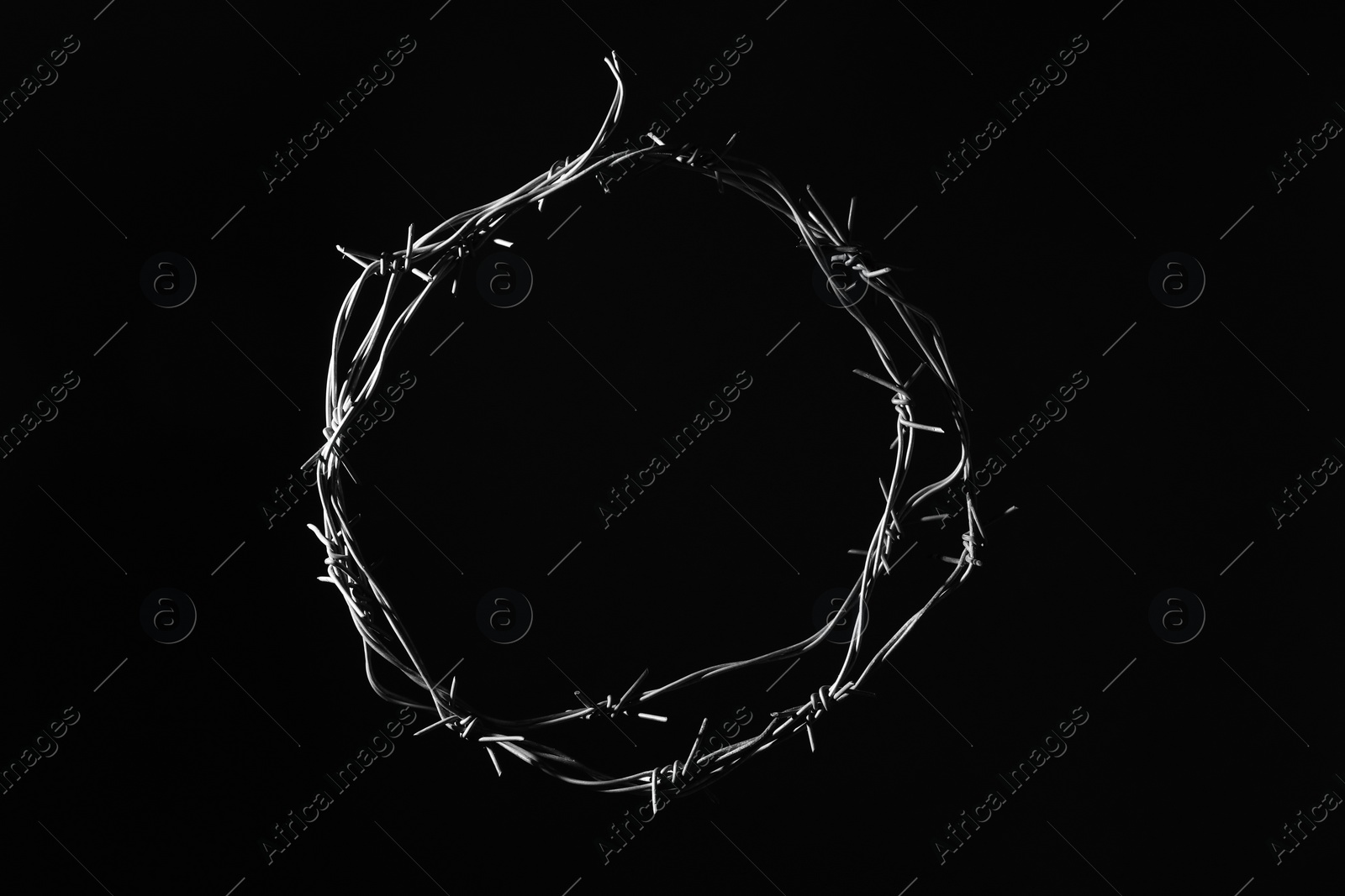 Photo of Shiny metal barbed wire on black background