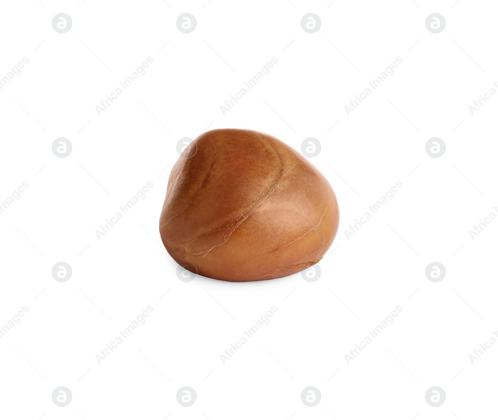 Photo of Fresh raw jackfruit seed isolated on white