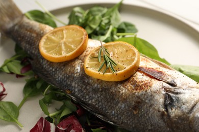 Baked fish with spinach and lemon on white plate, closeup