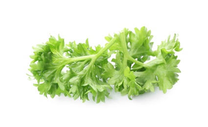 Photo of Fresh green curly parsley on white background