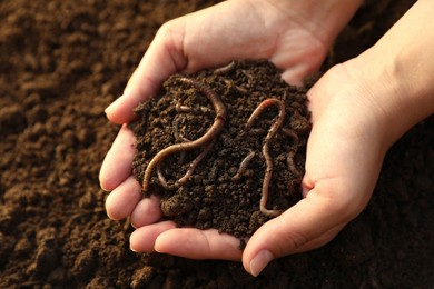 Woman holding soil with earthworms above ground, closeup