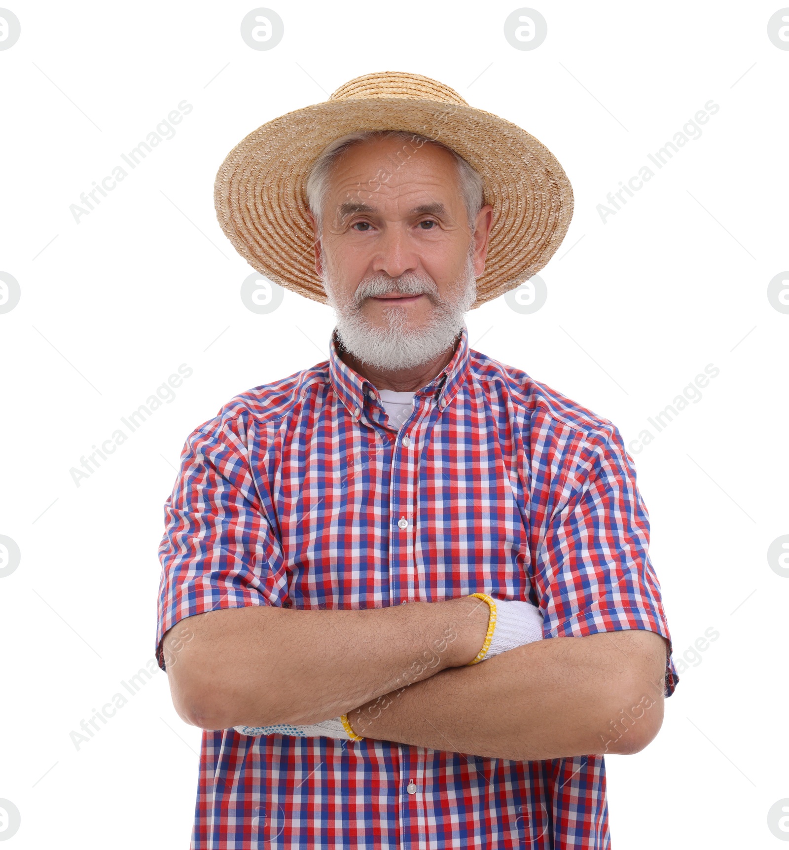 Photo of Harvesting season. Farmer with crossed arms on white background