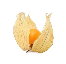 Photo of Ripe physalis fruit with calyx isolated on white