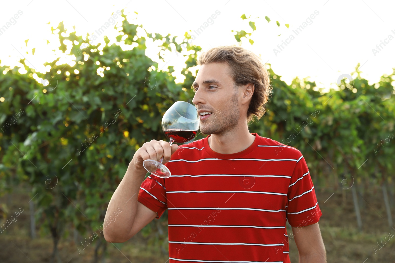 Photo of Young handsome man enjoying wine at vineyard