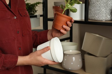 Woman holding houseplant and new pot indoors, closeup