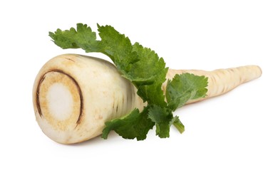 Photo of Tasty fresh ripe parsnip on white background