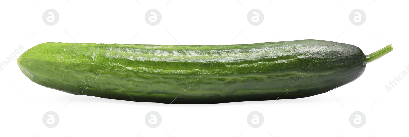 Photo of One long fresh cucumber isolated on white