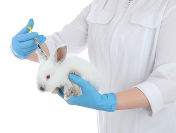 Photo of Scientist with syringe and rabbit on white background, closeup. Animal testing concept