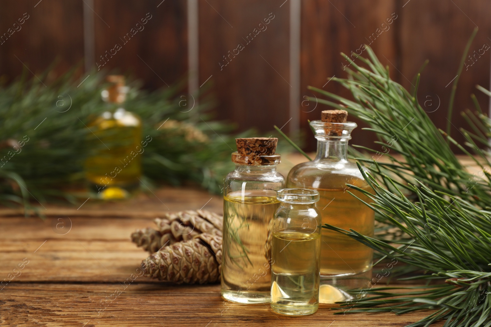 Photo of Pine essential oil, cones and branches on wooden table. Space for text