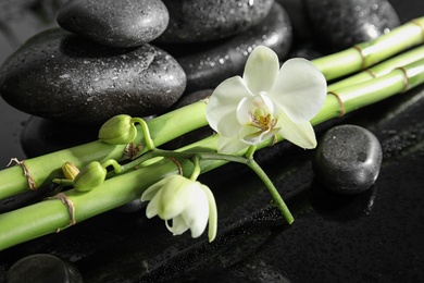 Photo of Bamboo branches with spa stones and orchid on black background