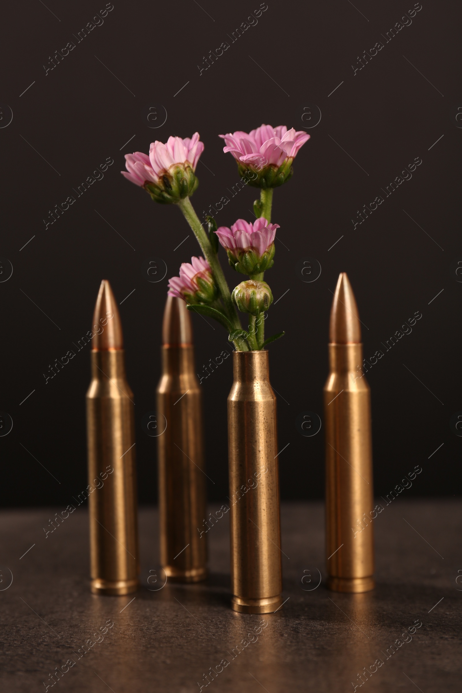 Photo of Bullets and cartridge case with beautiful flowers on grey table against dark background