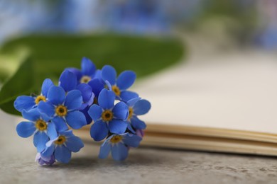 Photo of Beautiful Forget-me-not flowers and paper on grey table, closeup. Space for text