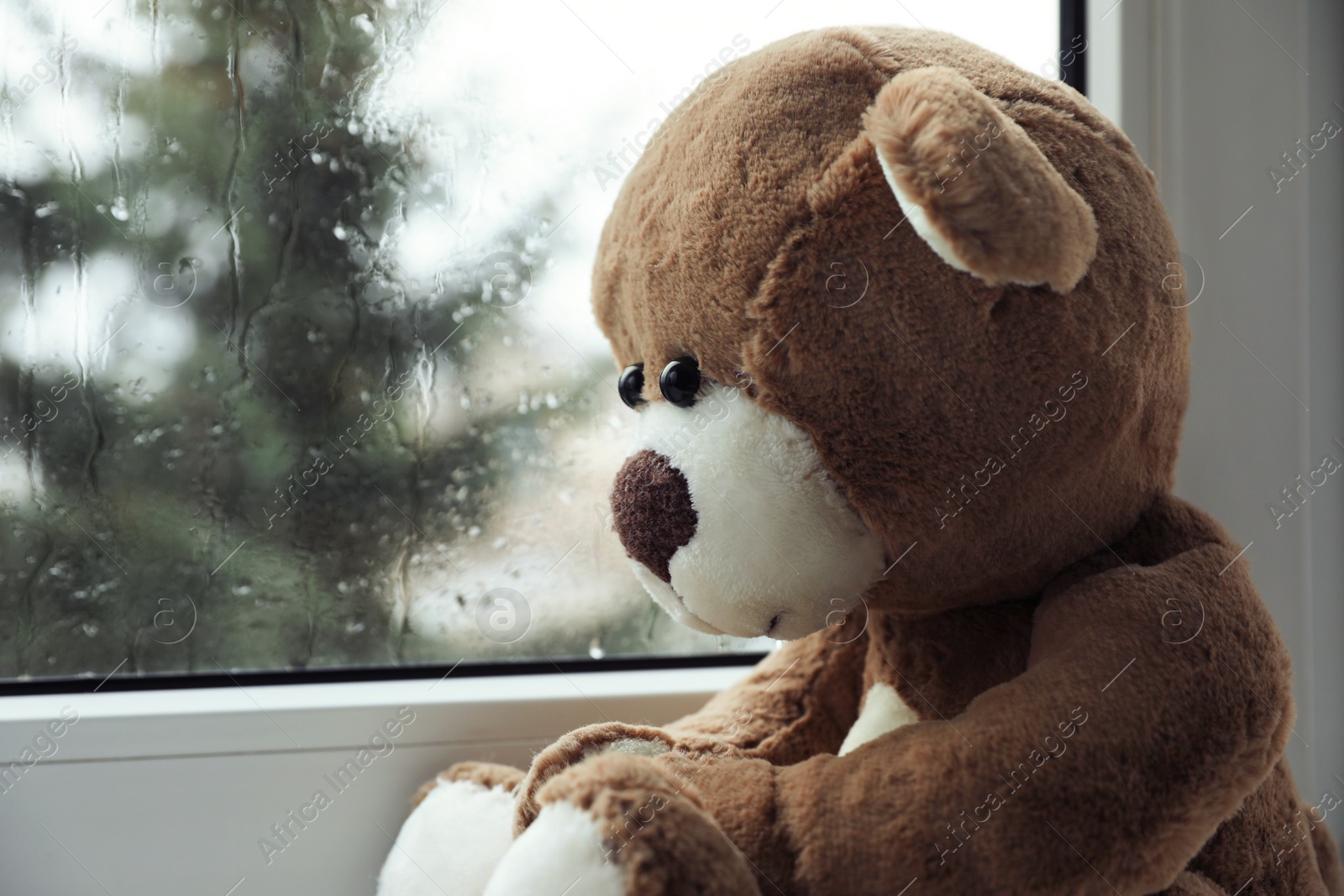 Photo of Cute lonely teddy bear on windowsill indoors, closeup. Space for text