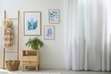 Beautiful paintings and plant at home. Idea for interior design