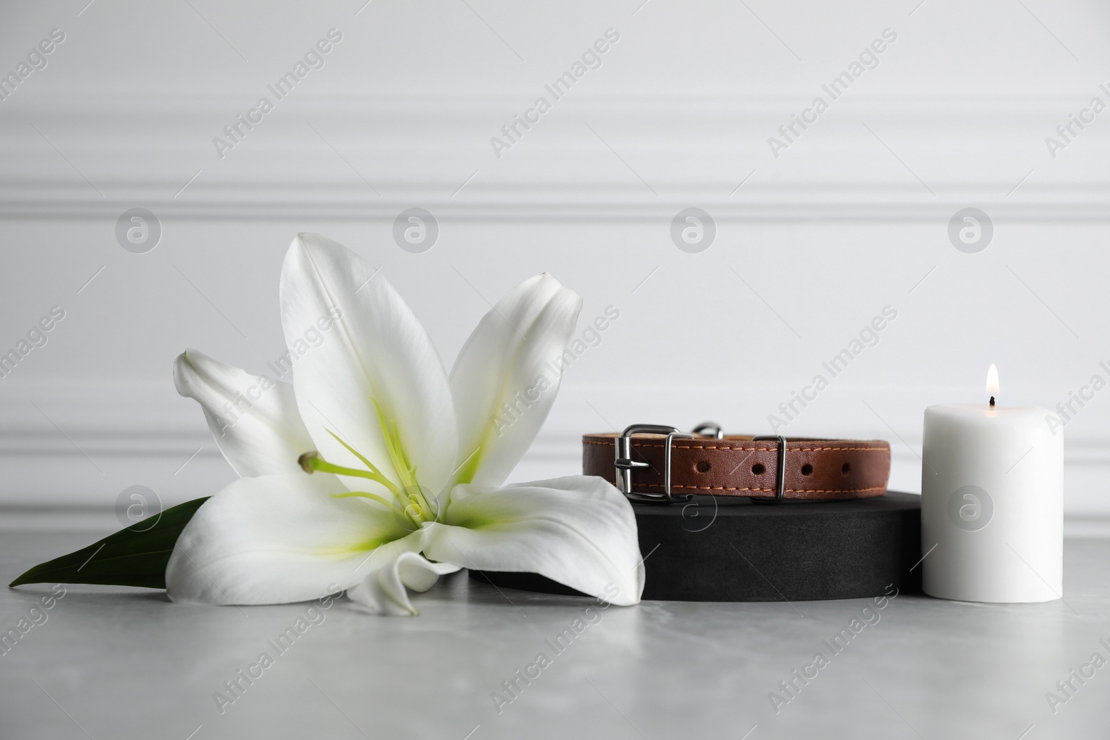 Photo of Collar, burning candle and lily flower on light grey table. Pet funeral