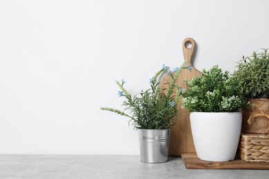 Photo of Different artificial potted herbs on light grey table, space for text
