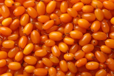 Many ripe sea buckthorn berries as background, top view