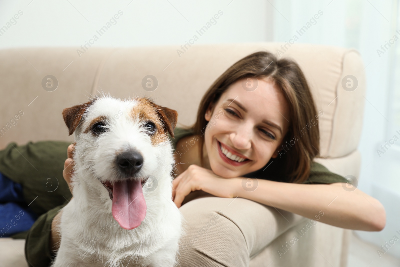 Photo of Young woman with her cute Jack Russell Terrier on sofa at home. Lovely pet