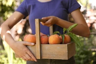 Photo of Woman holding wooden basket with ripe peaches outdoors, closeup