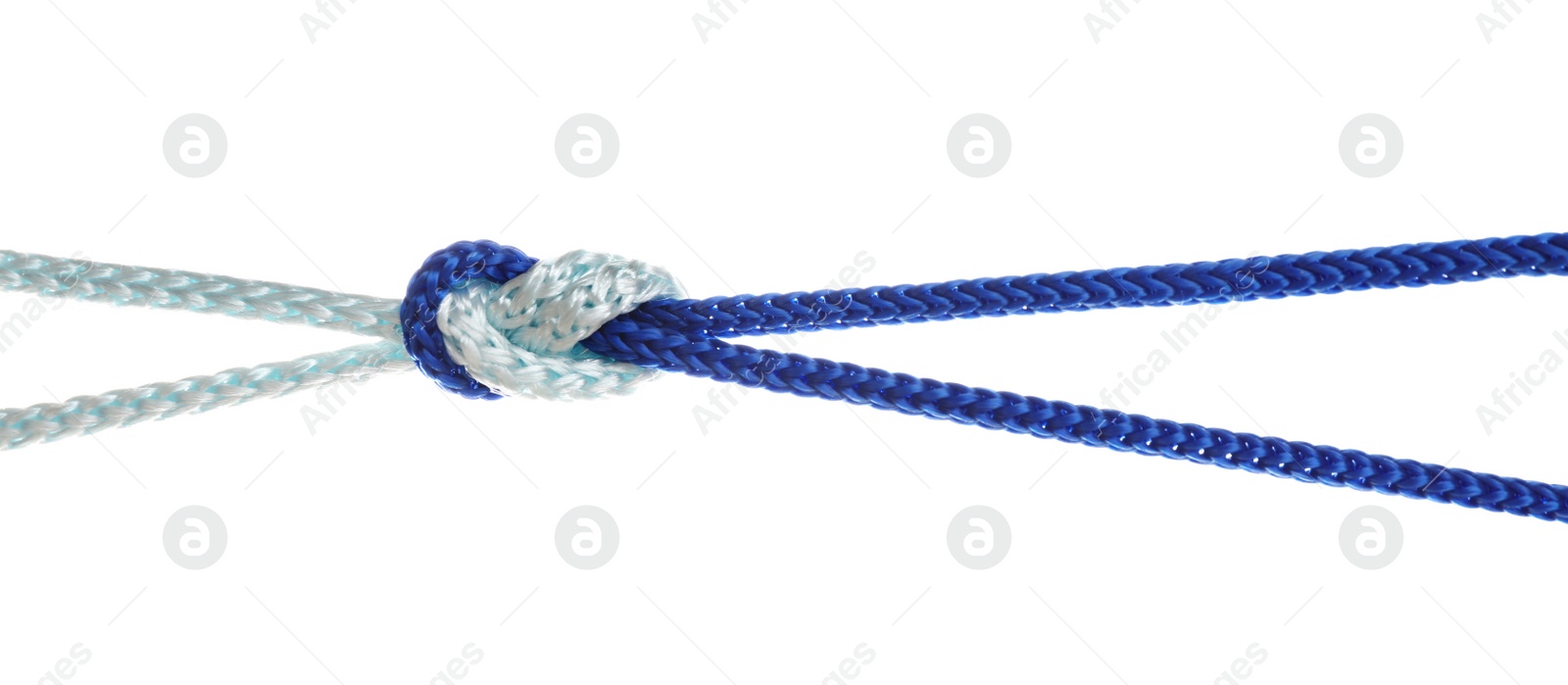 Photo of Colorful ropes tied together with knot isolated on white. Unity concept