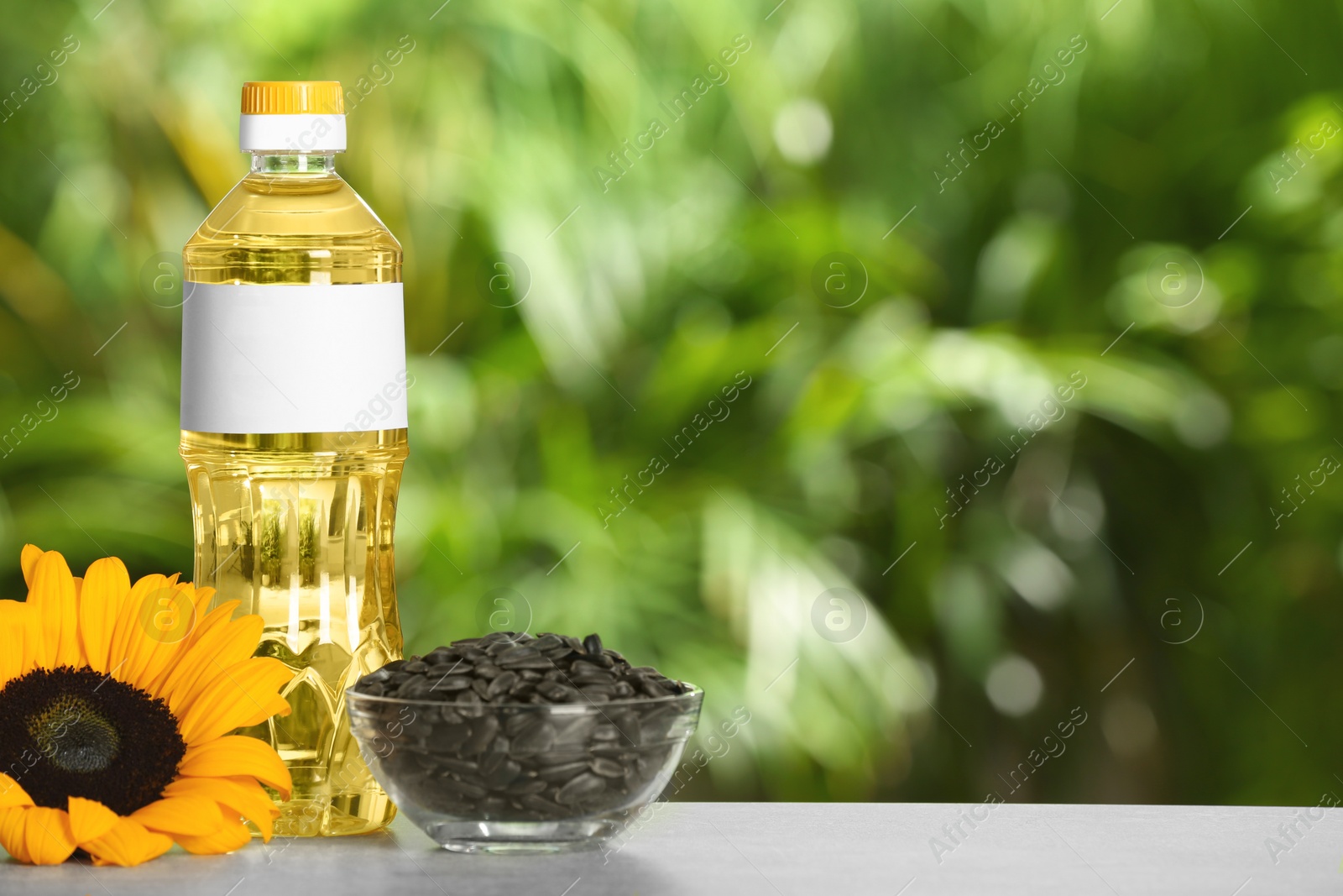 Photo of Sunflower cooking oil, seeds and yellow flower on light grey table outdoors, space for text