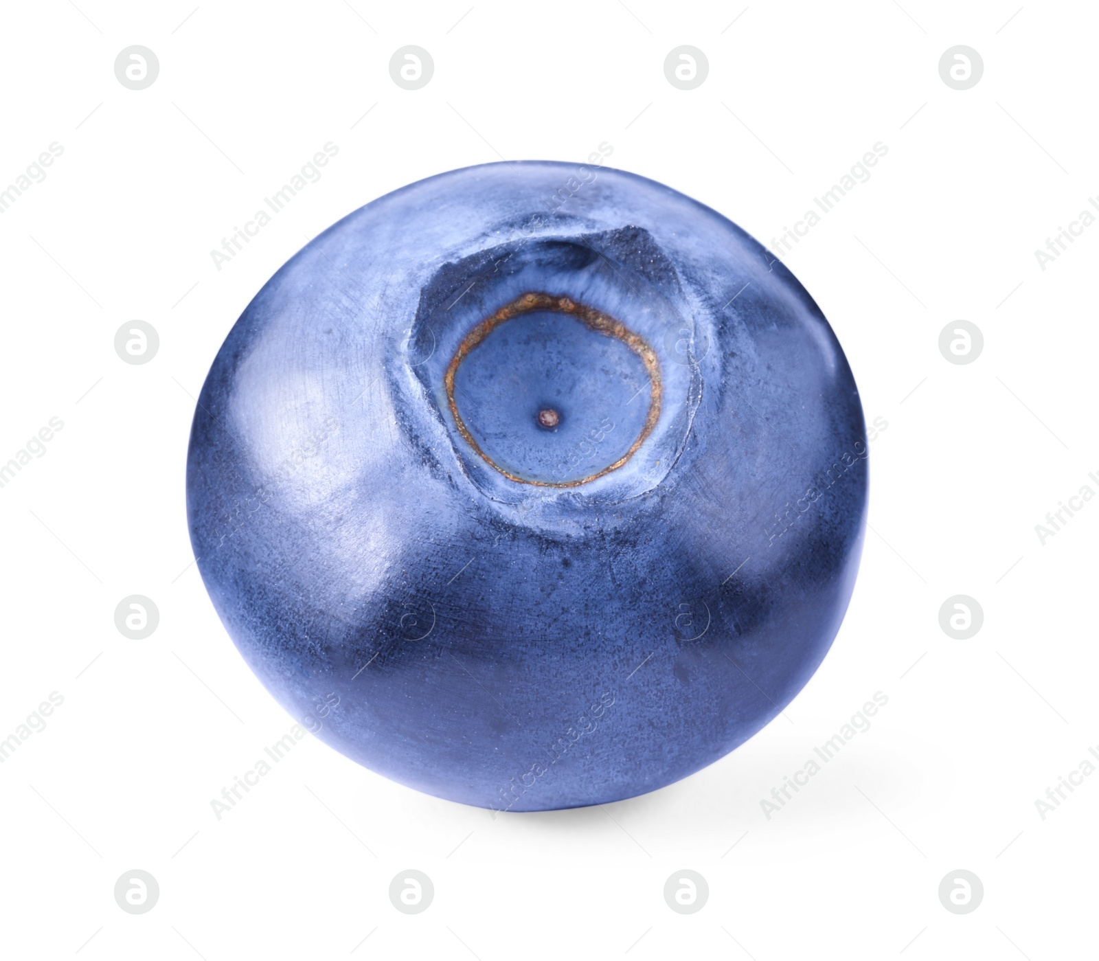 Photo of One ripe tasty blueberry isolated on white