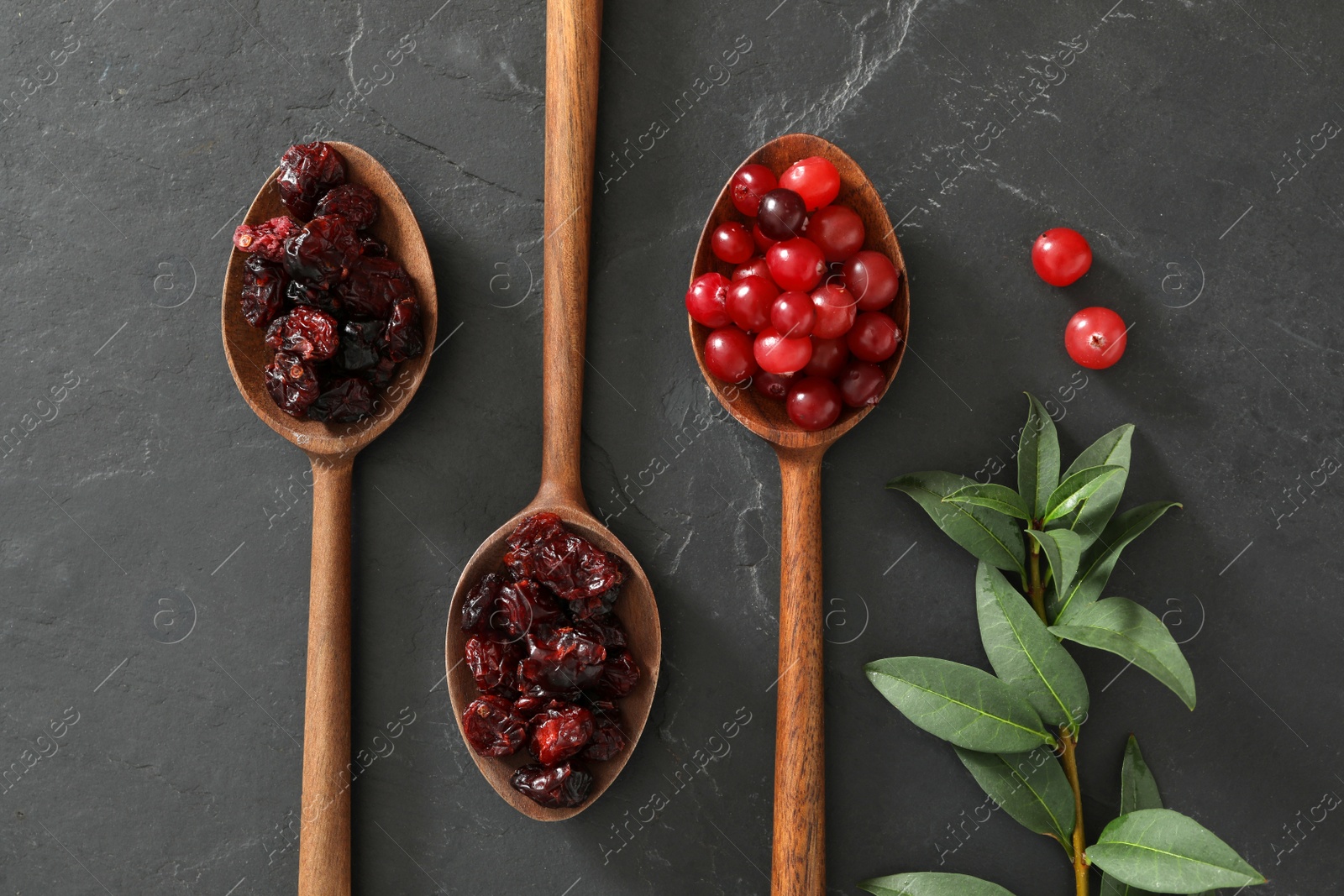 Photo of Flat lay composition with dried and fresh cranberries in wooden spoons on dark table 